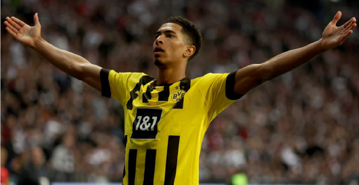 迅速建立了 迅速建立了